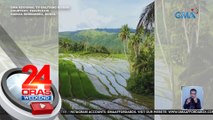 Cambuyo Rice Terraces sa Bohol, kahawig ng Banaue Rice Terraces | 24 Oras Weekend