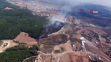 İzmir'de orman yangını: Havadan ve karadan müdahale sürüyor
