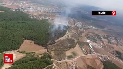 İzmir’deki orman yangını kontrol altında
