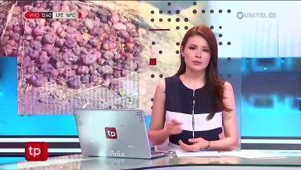 Sequía: Opositores y ‘evistas’ cuestionan al Gobierno y dicen que no hay planes hídricos para los municipios afectados