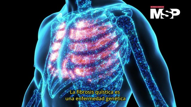 Día Mundial de la Fibrosis Quística: ¿Cómo actúa en el cuerpo?