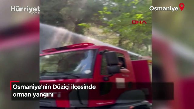 Osmaniye'nin Düziçi ilçesinde orman yangını