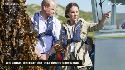 Kate Middleton : Chignon élaboré, jean et baskets... Son look casual de "chasseuse d'algues" surprend !