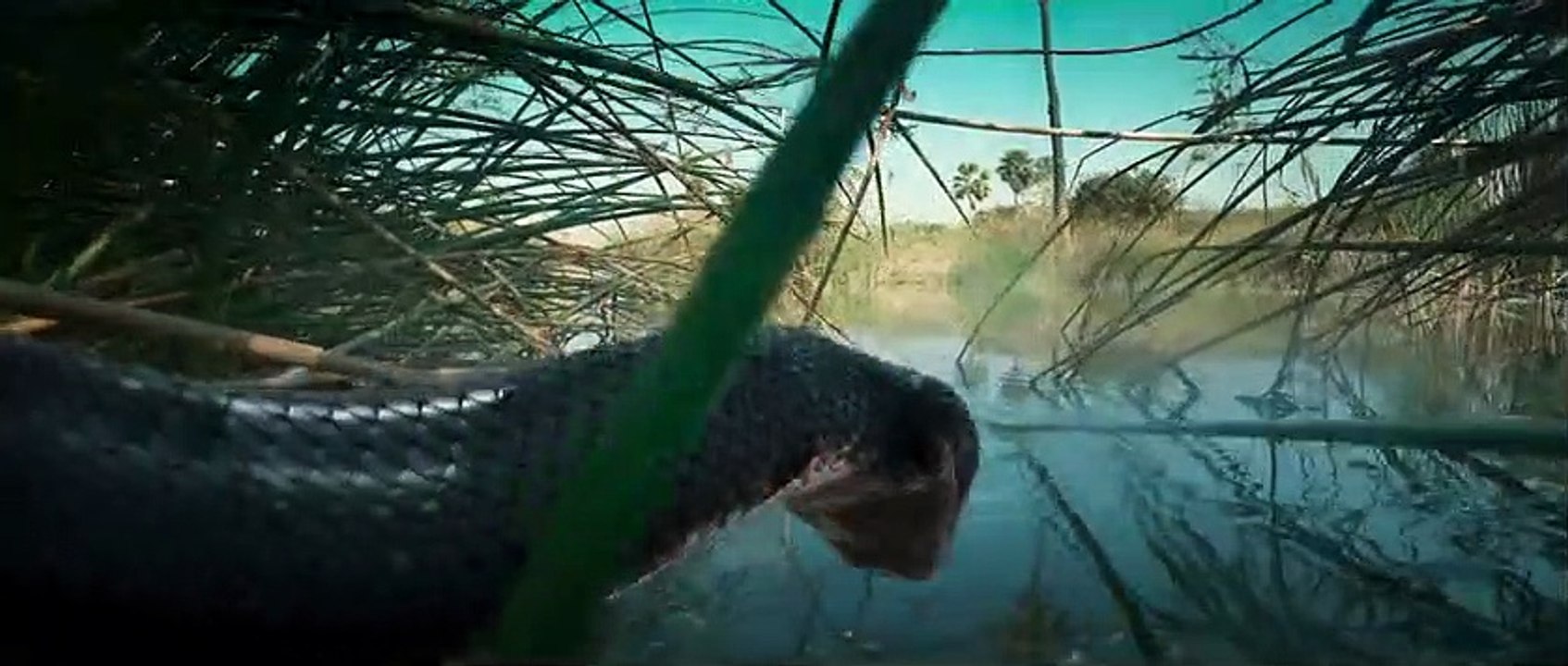 Chandramukhi 2 - Trailer (Tamil) - Raghava Lawrence, Kangana Ranaut