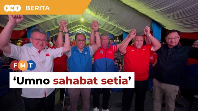 Umno sahabat setia, bantu raih lebih 50% undi Melayu, kata Mat Sabu