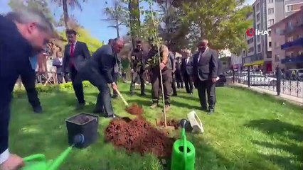 Gençlik ve Spor Bakanı Osman Aşkın Bak Bilecik'te Çınar Fidesi Dikti