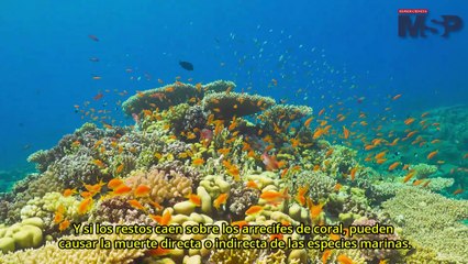 Erosión costera: El fenómeno natural que hunde barrios de Puerto Rico - #ExclusivoMSP