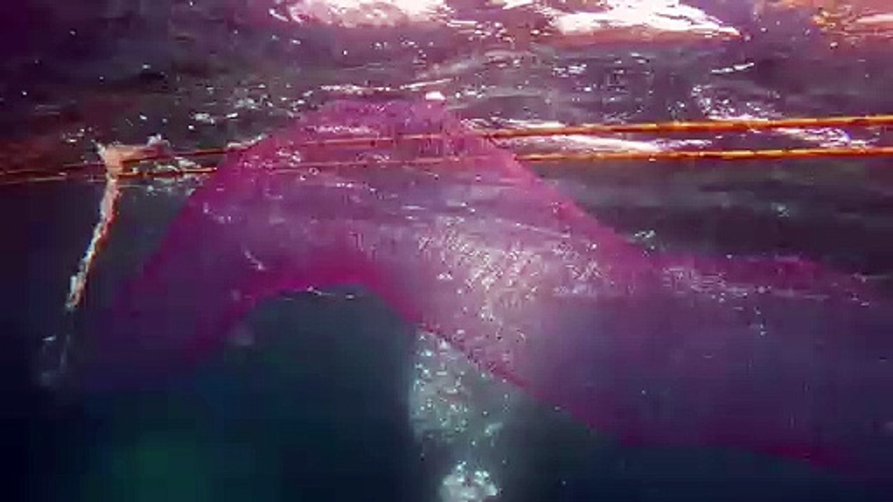 WhatsApp Video 2023-09-09 at 7.21.59 PM