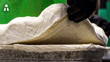 Le Mycélium est-il le Plastique du Futur -