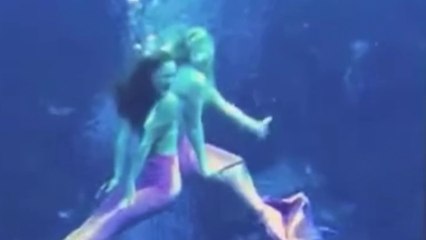 Music Video: Pink Mermaids