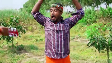 Don`t Miss Special Funniest Comedy Video  Must Watch Viral Funny Video