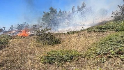 TOKAT'TA ORMAN YANGINI 1 SAATTE KONTROL ALTINA ALINDI