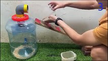 Mouse trap with big plastic bottle   The world's best mousetrap with a plastic bottle