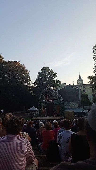 Jungle five Five Foot Fingers