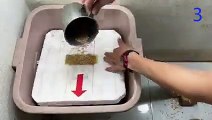 Mouse trap video   DIY mousetrap   How to trap a mouse with a trash can