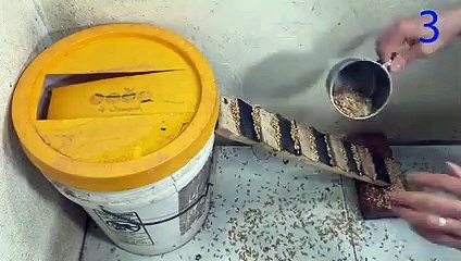 Mouse trap with paint bucket   The best mousetrap in the world   Mouse trap video