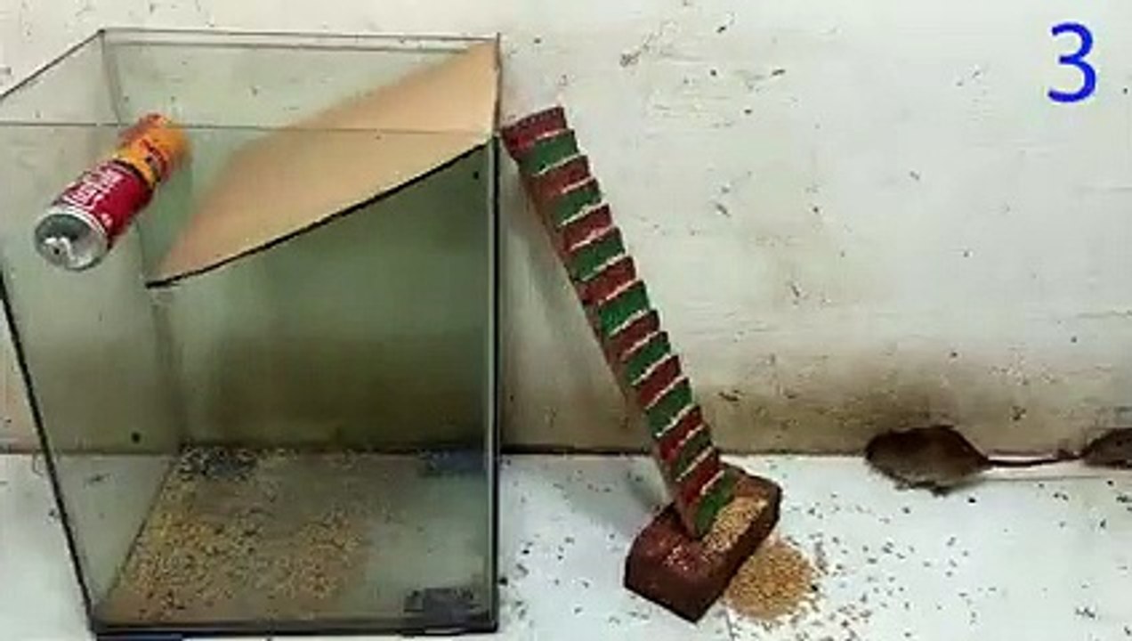 Mouse trap video   Electric mouse trap   Best homemade mousetrap with glass case