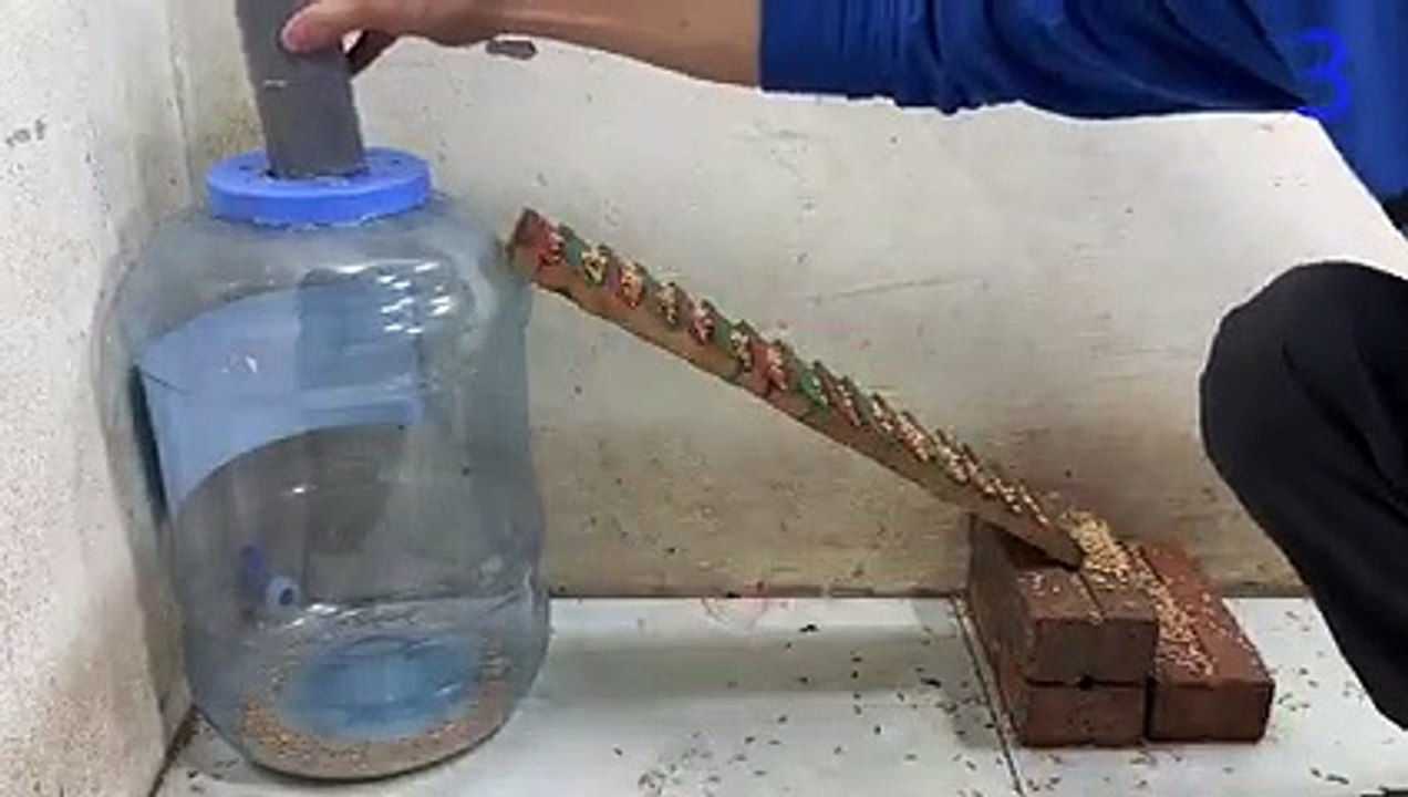 Mousetrap with plastic bottle   Mousetrap with a plastic bottle for storing water