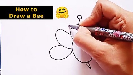 How to Draw a Honey Bee Step by Step Easy