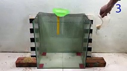Mouse trap   Great home mouse trap idea   Homemade mouse trap with glass box