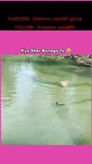 #dance #tiktok #moments #shorts #short #nagpurishortsvideo #shortsvideo #trending