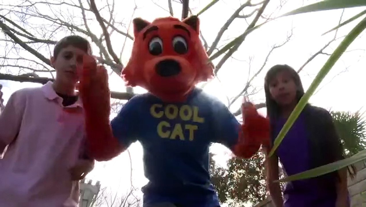 Cool Cat Finds A Gun Trailer