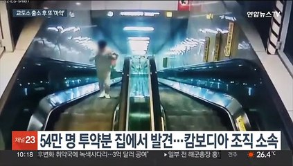 '3개국 연계' 마약 조직 활개…"솜방망이 처벌 탓"