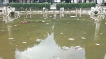 Roma, la discarica nella fontana a due passi dalla Rai