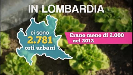 Gli orti urbani