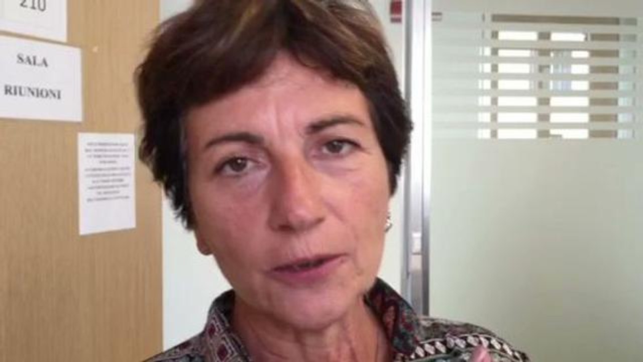 «Gli open bus devono rispettare l’ambiente»