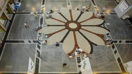 A Vercelli realizzato il più grande màndala di riso al mondo