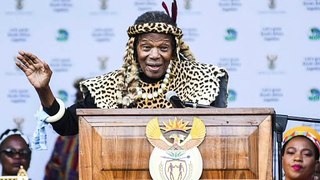 Remembering the Legacy of Mangosuthu Buthelezi South African Icon and Freedom Fighter