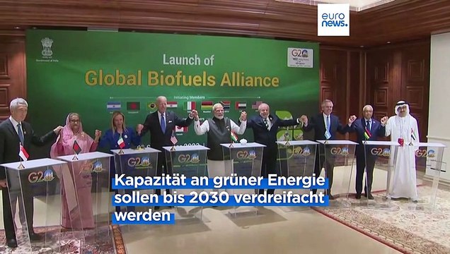 G20-Gipfel will mehr erneuerbare Energien