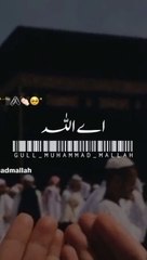 اللہ ہماری دعائیں اپنے دربار میں قبول فرما لے