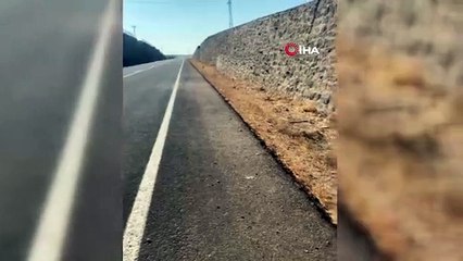 Şanlıurfa'da tarım işçilerini taşıyan minibüs kaza yaptı: Ölü ve yaralılar var