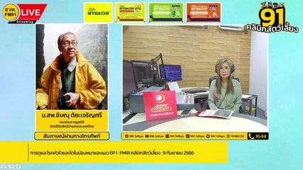 การดูแล โรคหัวใจและไตในน้องหมาและแมว EP.1 : FM91 คลินิกสัตว์เลี้ยง : 9 กันยายน 2566