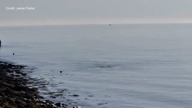 Mystery over bubbling sea off Folkestone coast