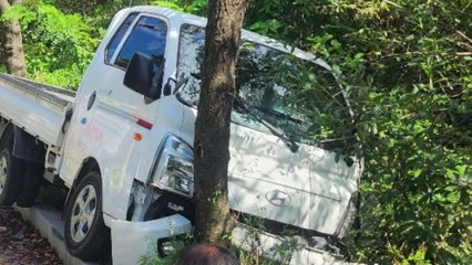 대전서 트럭이 자전거 들이받아...자전거 운전자 사망 / YTN