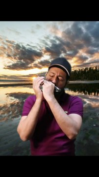 Ride it- Jay Sean ( Harmonica Shorts) Dailymotion video @jayseanworldwide #shorts #shortsfeed #ytshorts