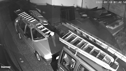 Câmera flagra tentativa de furto no Brasmadeira