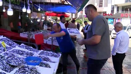 RİZE'DE HAMSİ BOLLAŞTI; FİYATI 50 TL'YE DÜŞTÜ