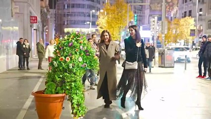 Dog Gets Scared and This Happens !!! Bushman Prank