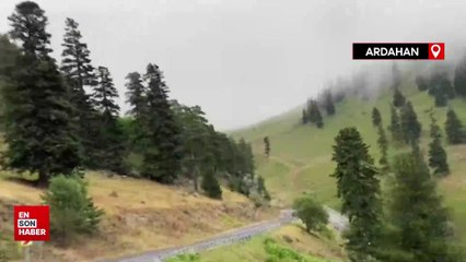 Ardahan’da sis ulaşımı aksatıyor