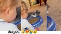 Cats take care of children