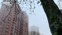 Domingo amanhece com neblina e temperatura de 15°C em Cascavel