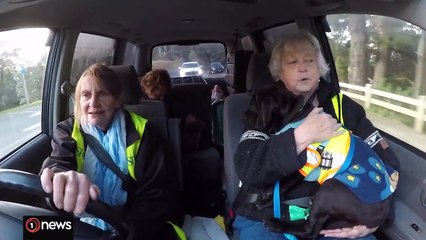 Good Sorts Wellington woman rehoming orphaned dogs