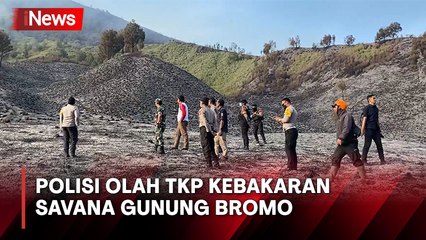 Polisi Kembali Olah TKP Kebakaran Savana Gunung Bromo, Gali Fakta dan Bukti Baru