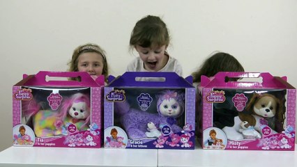 Puppy Surprise, Kitty Surprise - Cãozinho,  Gato e filhotes de  Pelúcia
