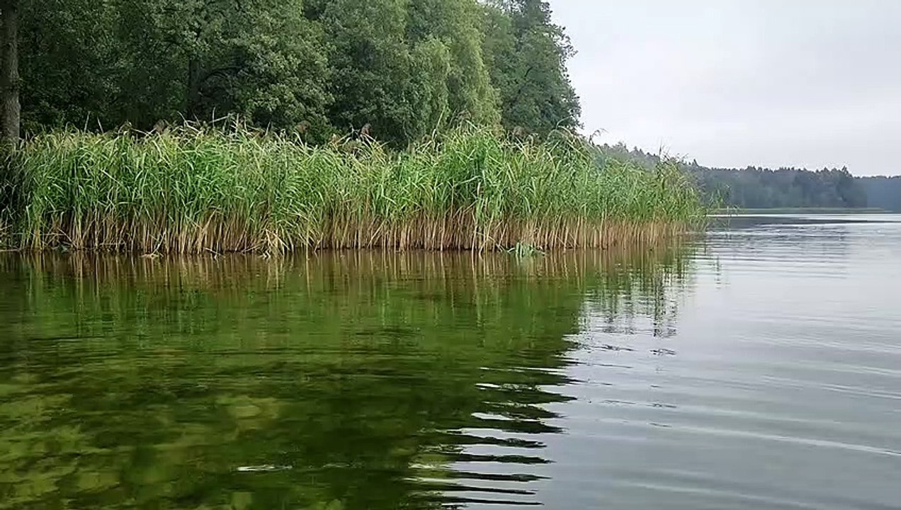 Avirio ežeras.Vasaros pabaiga