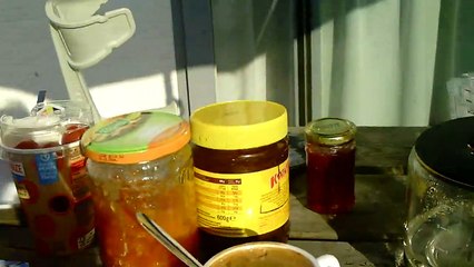 Vacances Annick et Jacques : samedi 9 septembre 2023 A-M à De Lombarde